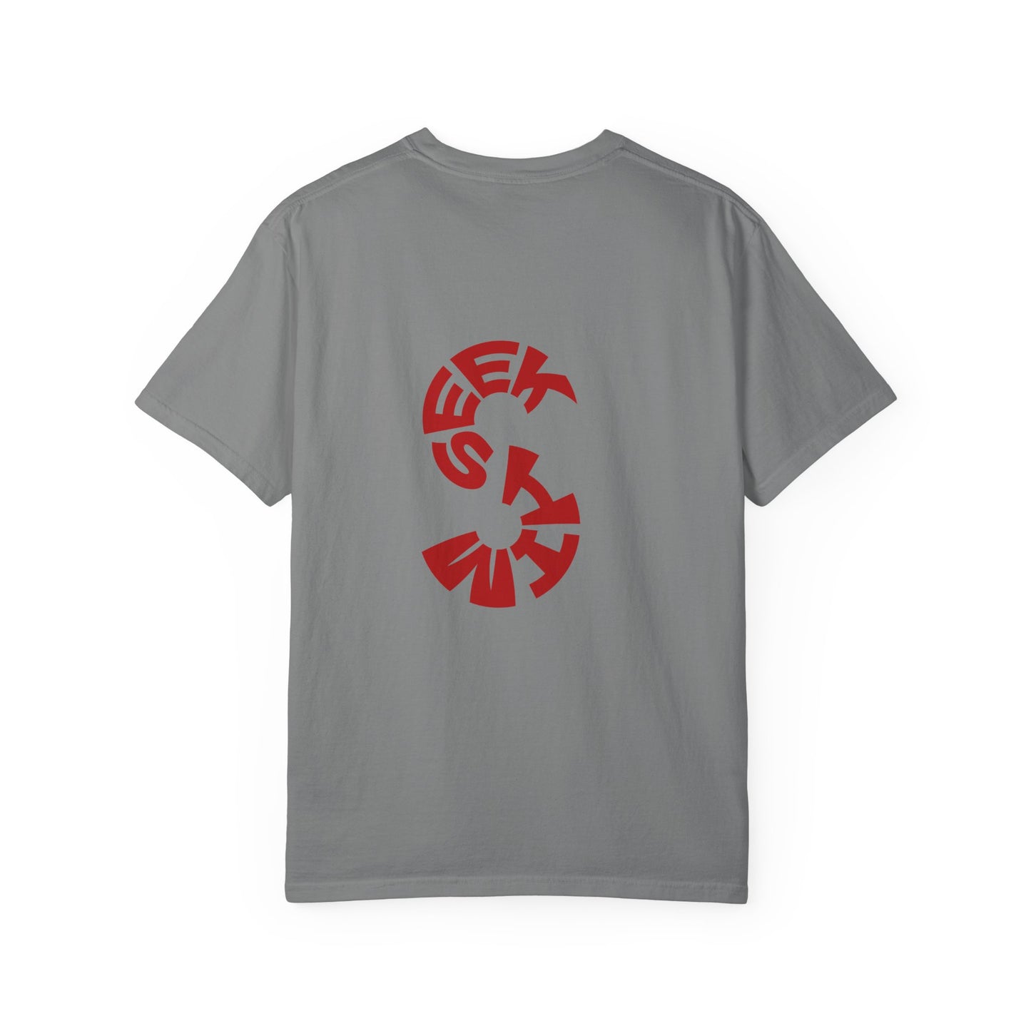 SEEK HIM Inspirational- Unisex Garment-Dyed T-shirt