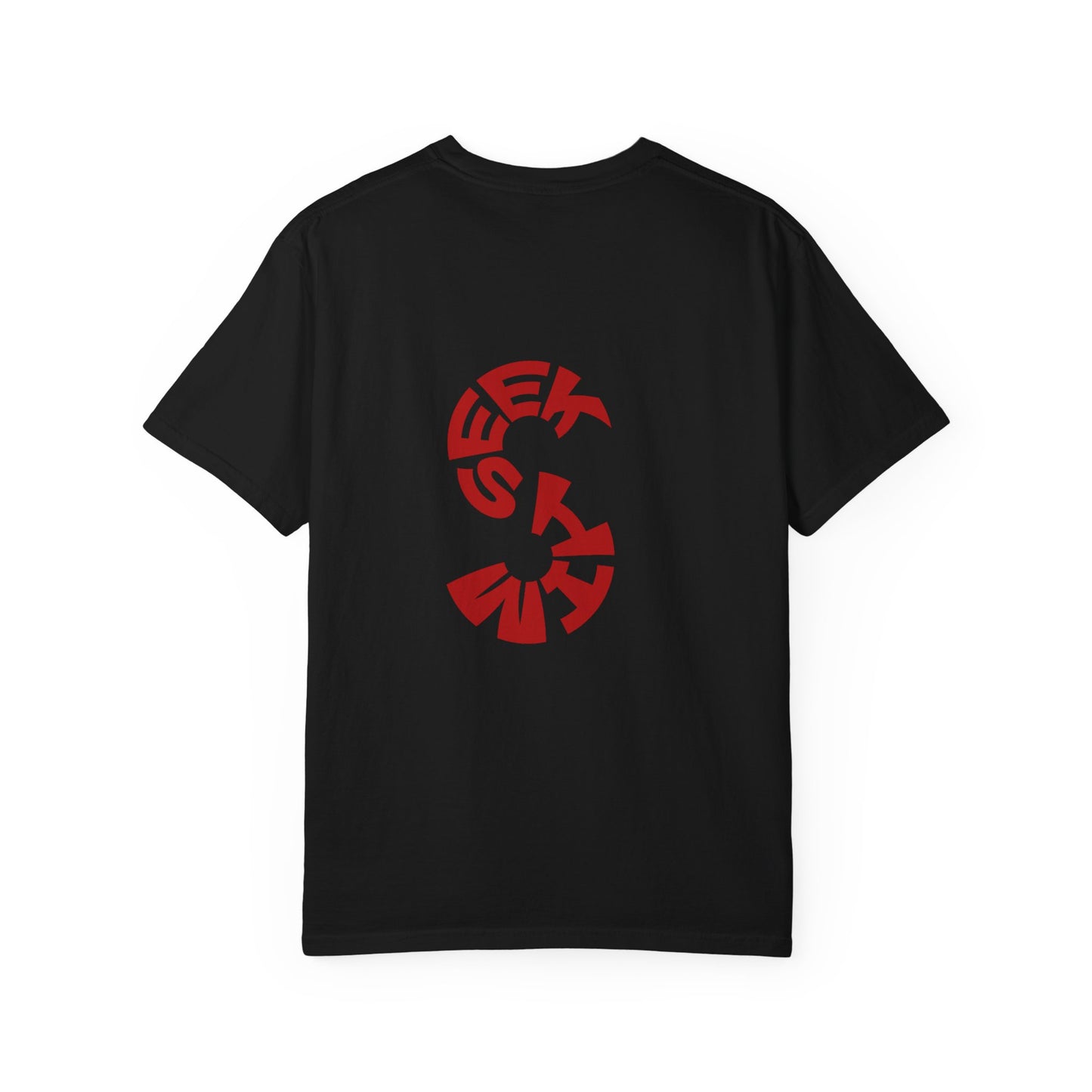 SEEK HIM Inspirational- Unisex Garment-Dyed T-shirt